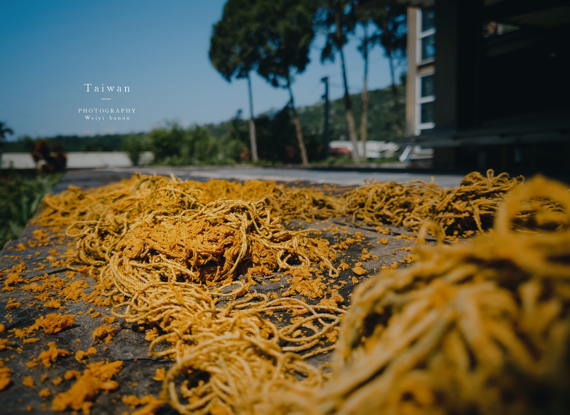原住民 染的文化 布農族染線＿黃色篇｜台灣課本沒教的事 ｜環島走部落