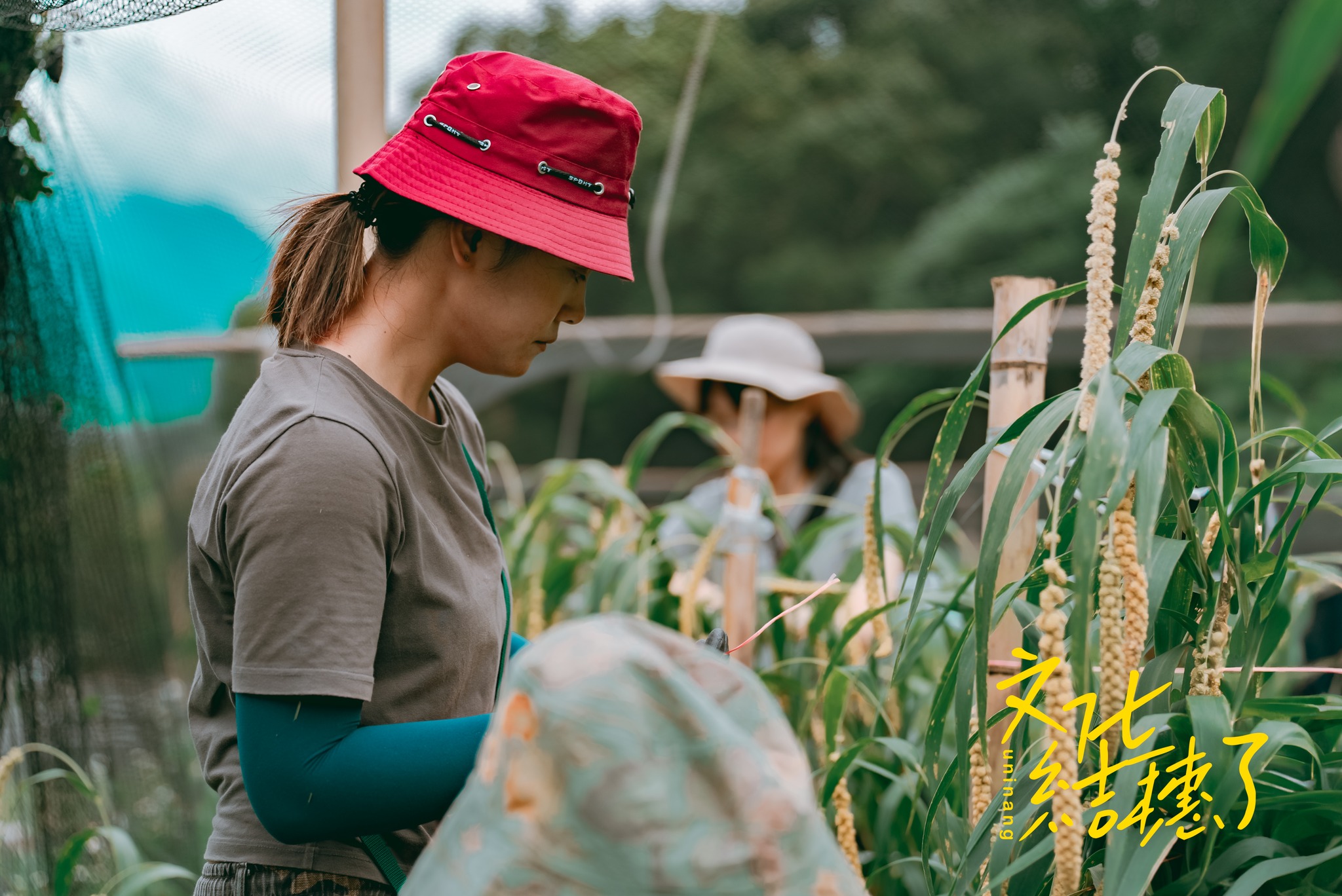 文化紀錄｜文化結穗了｜拉盟岸青年會