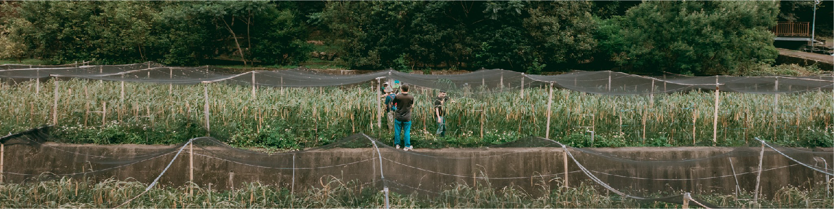 文化紀錄｜文化結穗了｜拉盟岸青年會