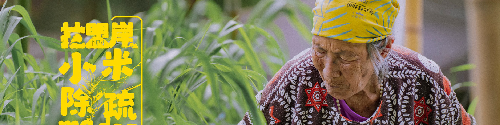 文化紀錄｜小米除疏｜拉盟岸青年會